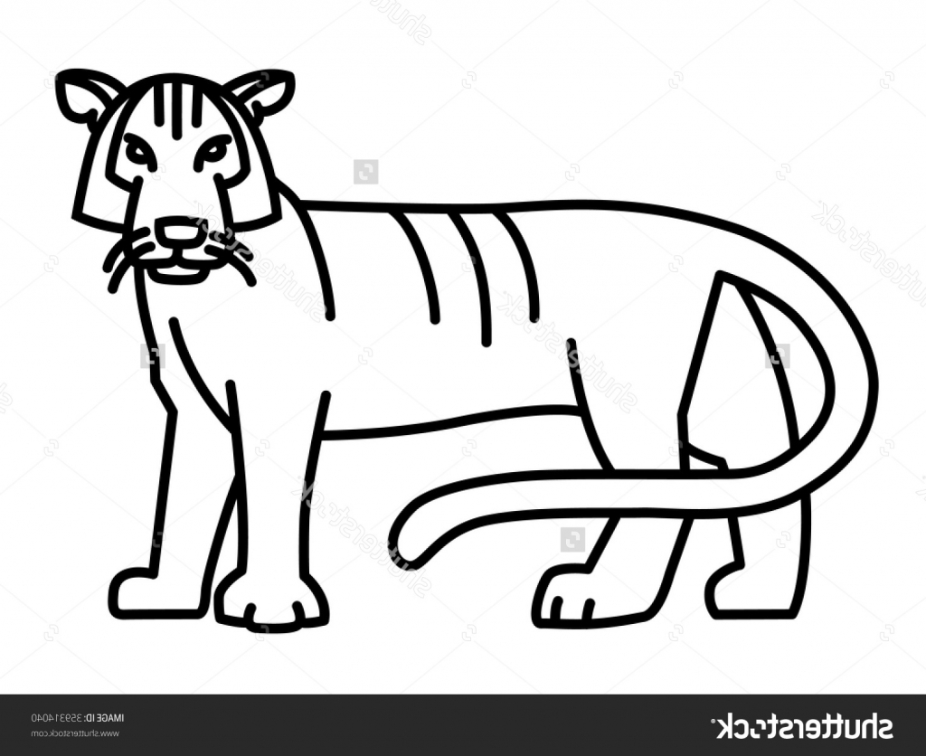 Simple Tiger Drawing at GetDrawings | Free download