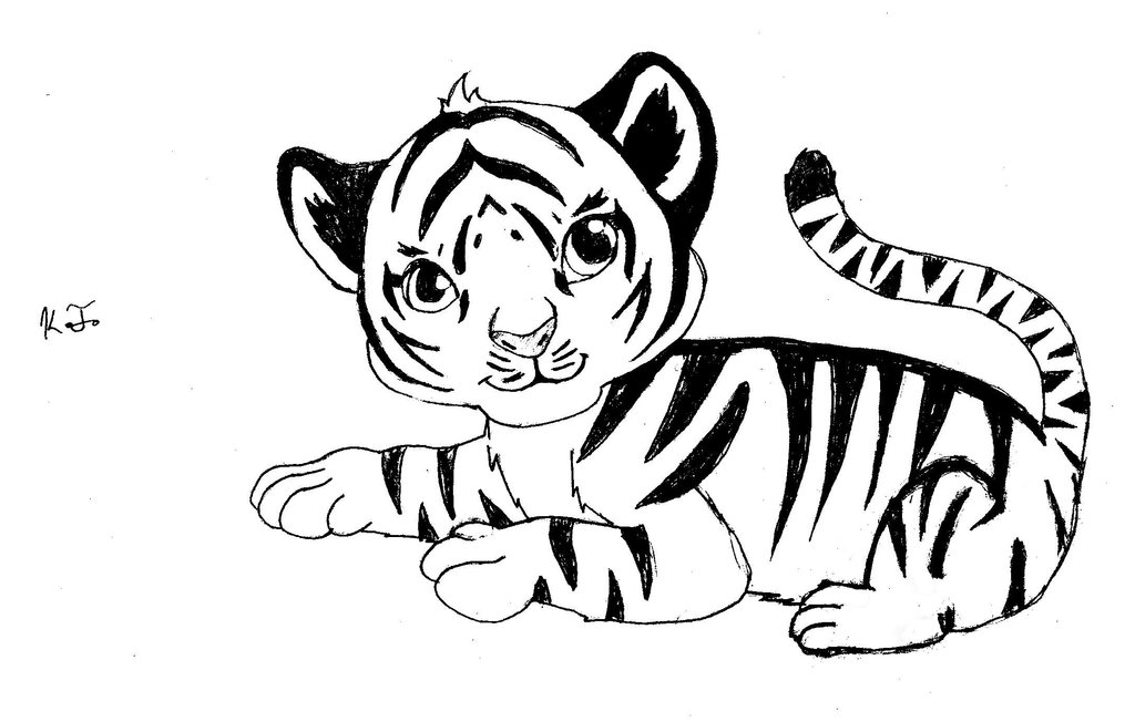 Simple Tiger Drawing at GetDrawings | Free download