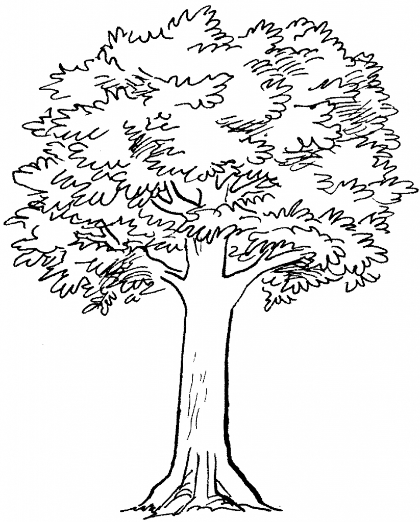 Simple Tree Line Drawing at GetDrawings Free download