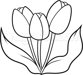 Simple Tulip Drawing At Getdrawings 