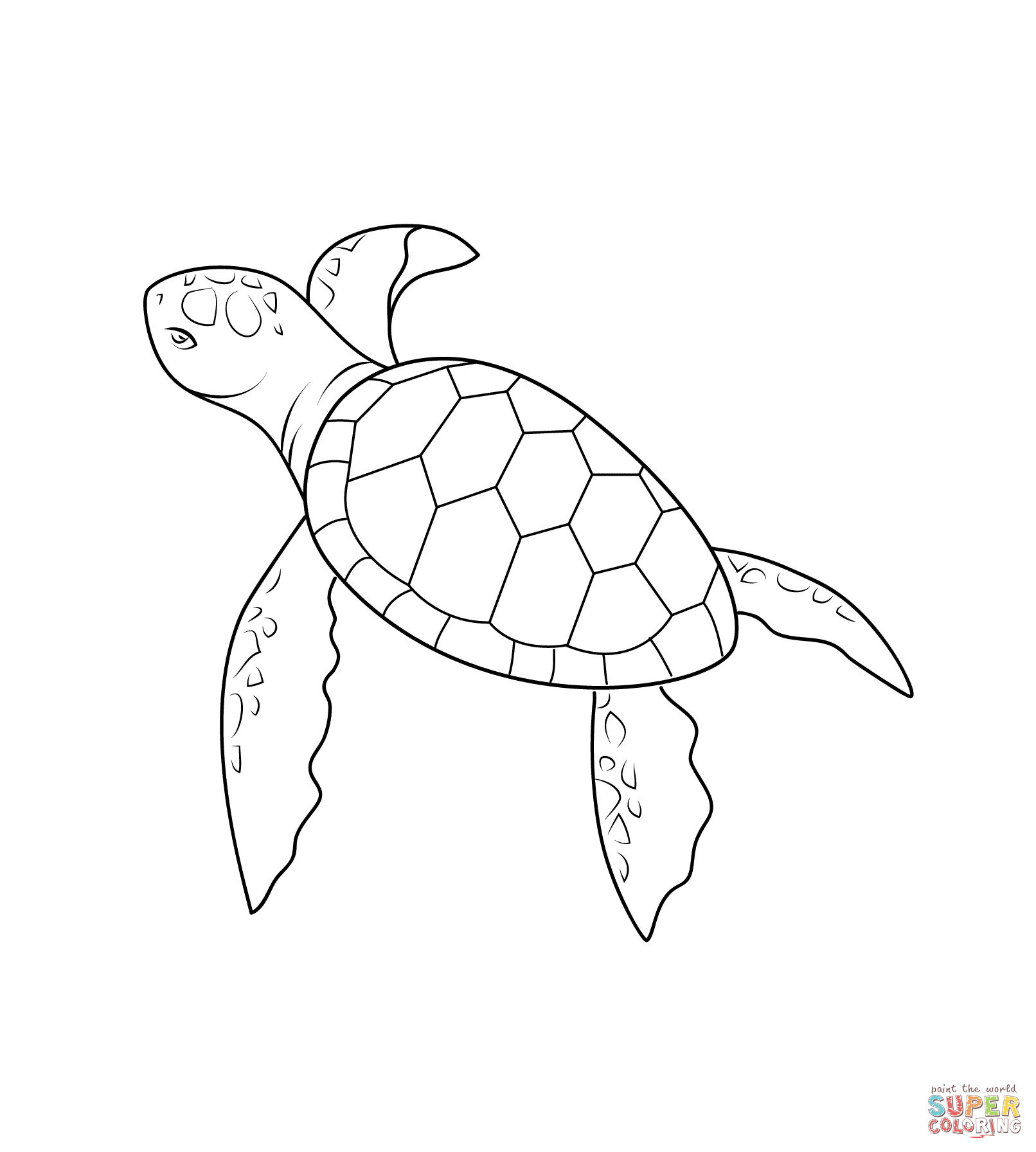 Simple Turtle Drawing at GetDrawings Free download