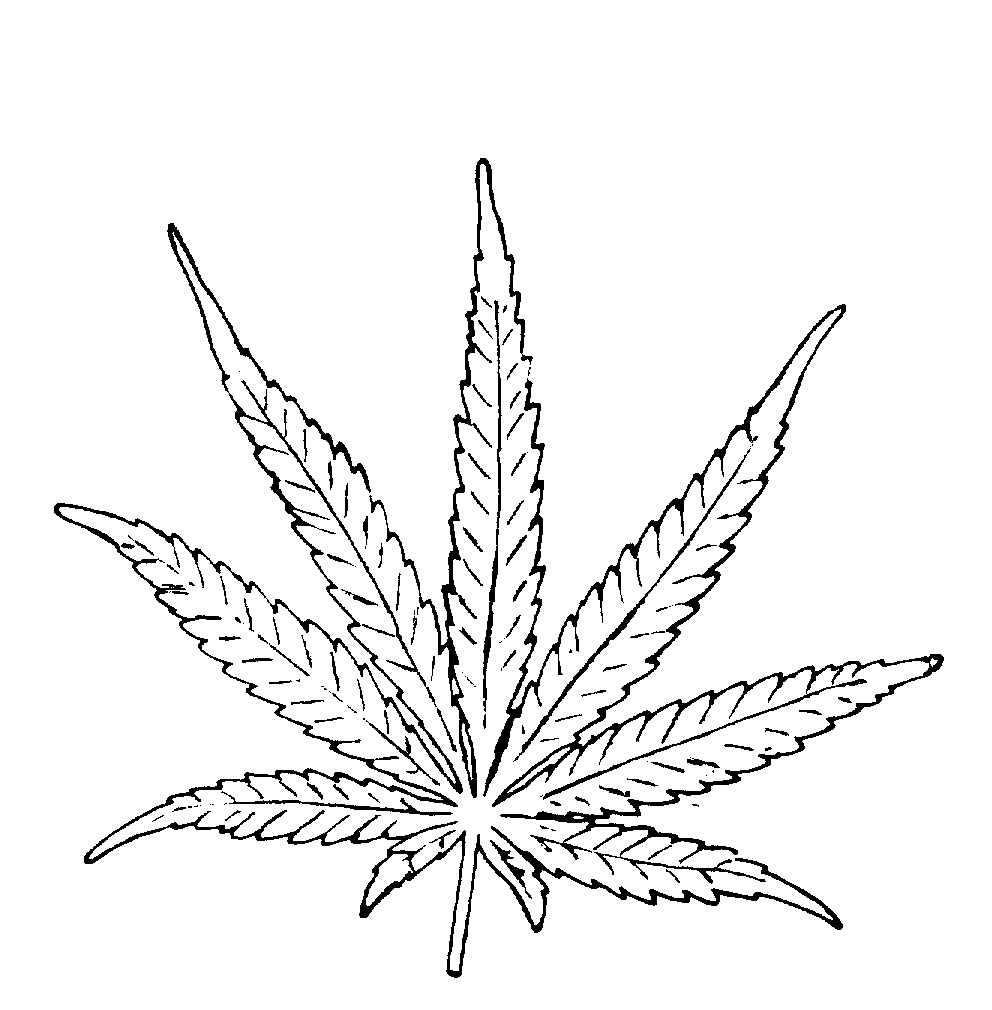 Simple Weed Leaf Drawing at GetDrawings Free download