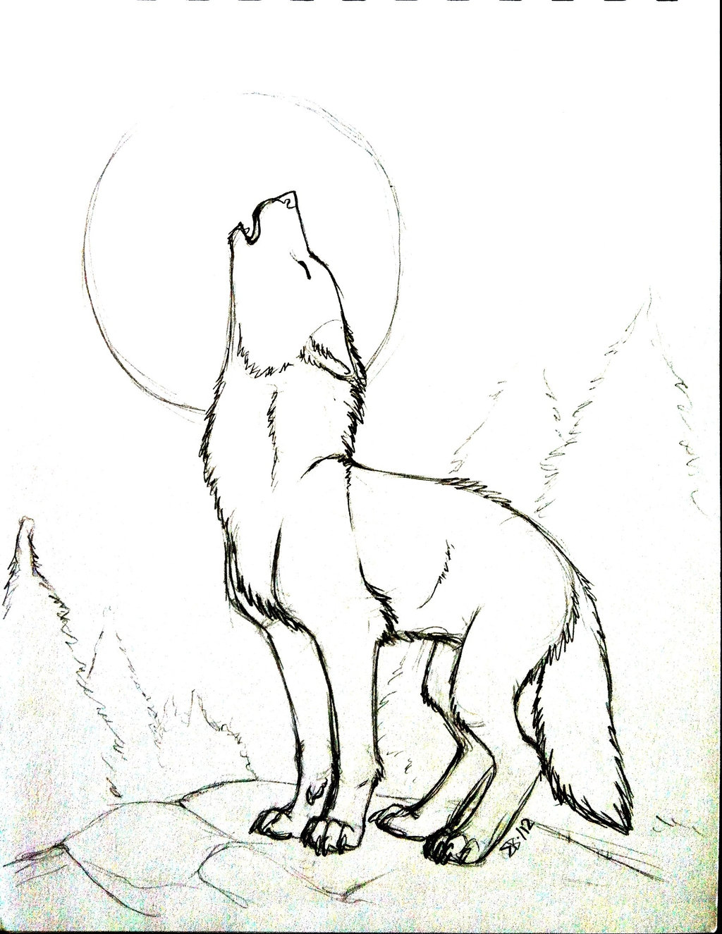 step by step wolf drawing