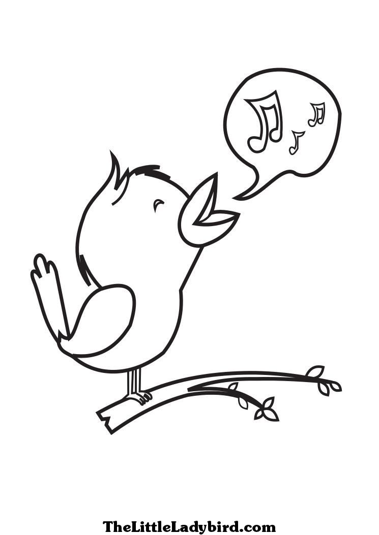 Singing Bird Drawing at GetDrawings | Free download