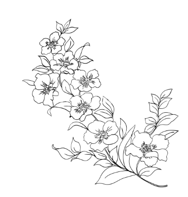 Single Cherry Blossom Drawing at GetDrawings | Free download