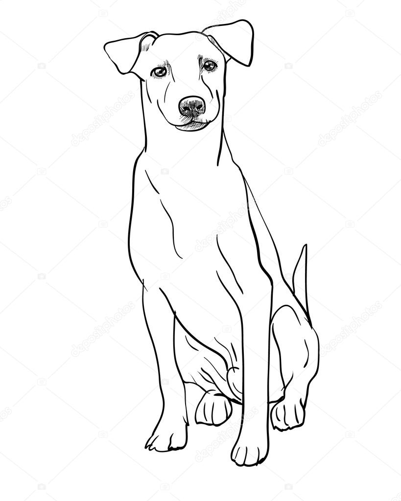 Sitting Dog Drawing at GetDrawings Free download