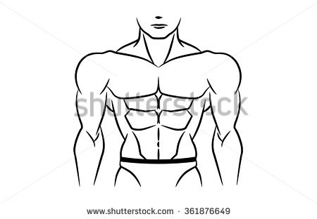 Six Pack Abs Drawing at GetDrawings | Free download