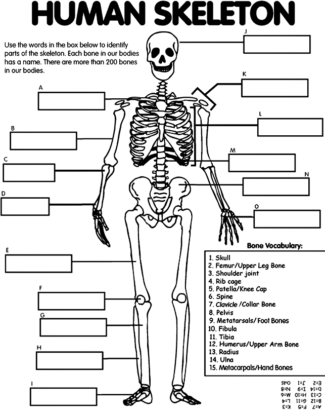 Figure Drawing: John Marshall - Anatomy for Artists