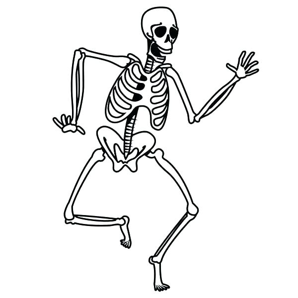 Skeleton Drawing
