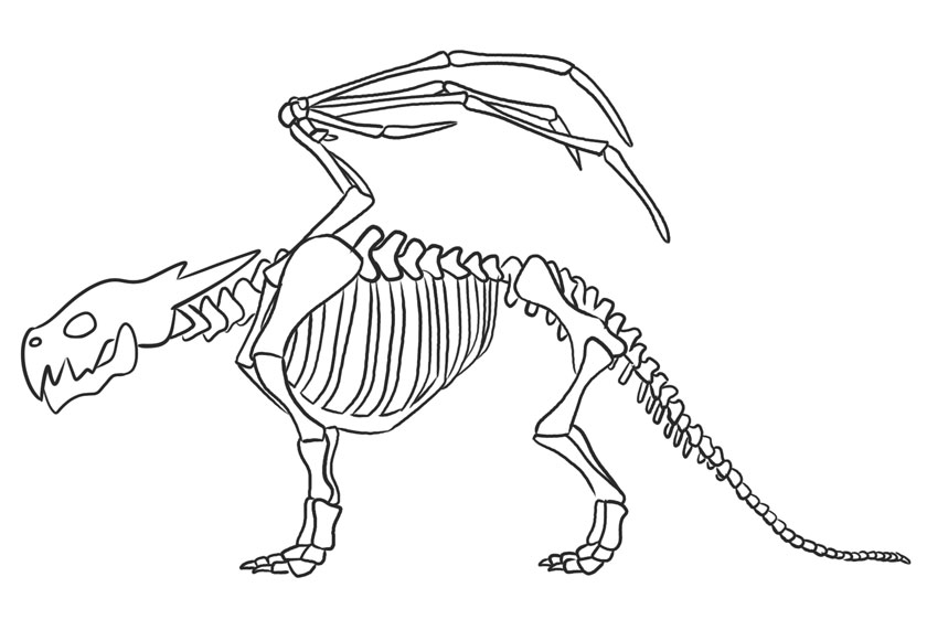 Скелет дракона рисунок