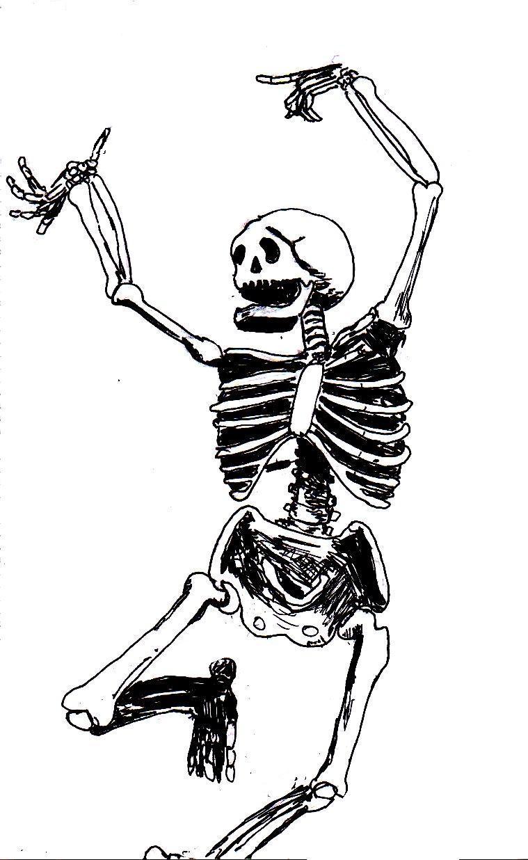 drawing of human skeleton