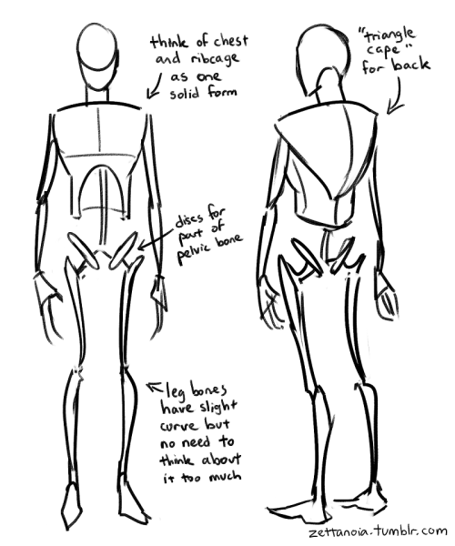 how to draw human skeleton step by step