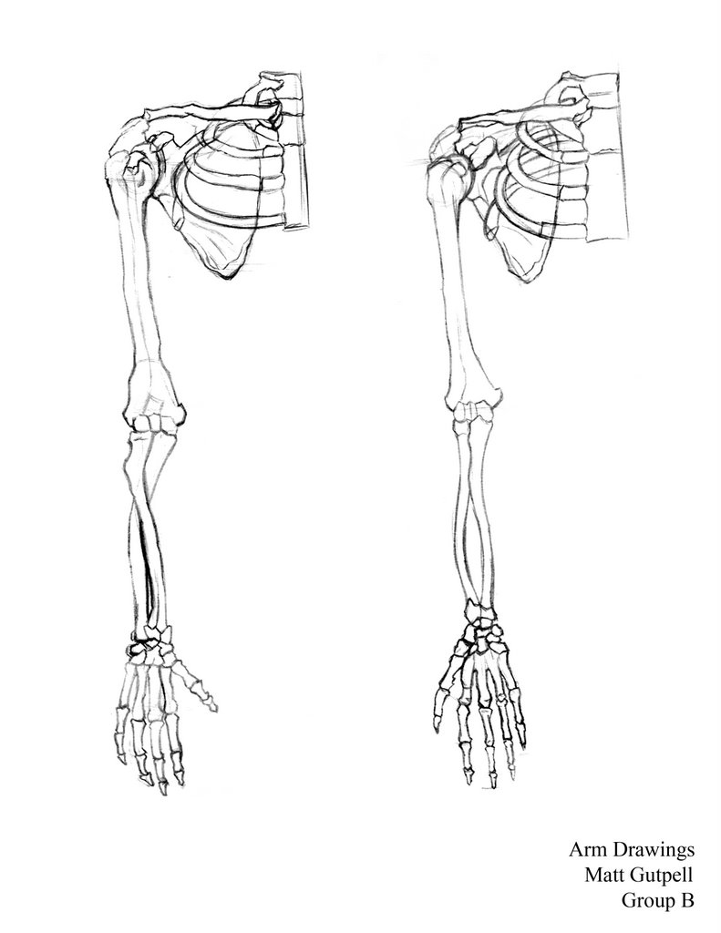 skull and bones drawing