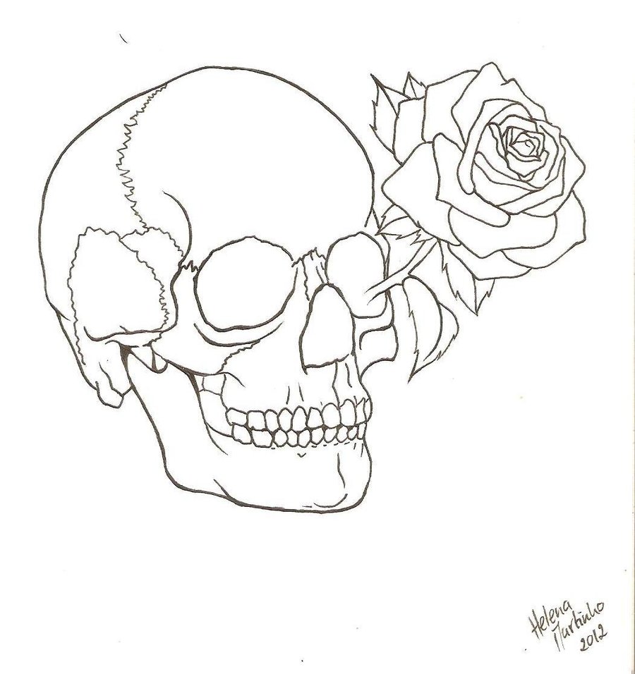 Skull And Rose Drawing Easy at GetDrawings Free download