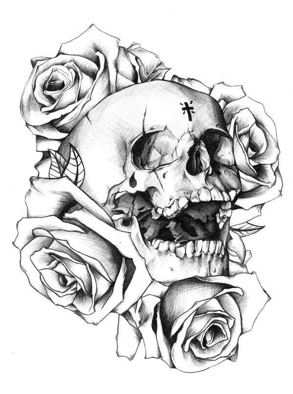Skull Roses Drawing at GetDrawings Free download