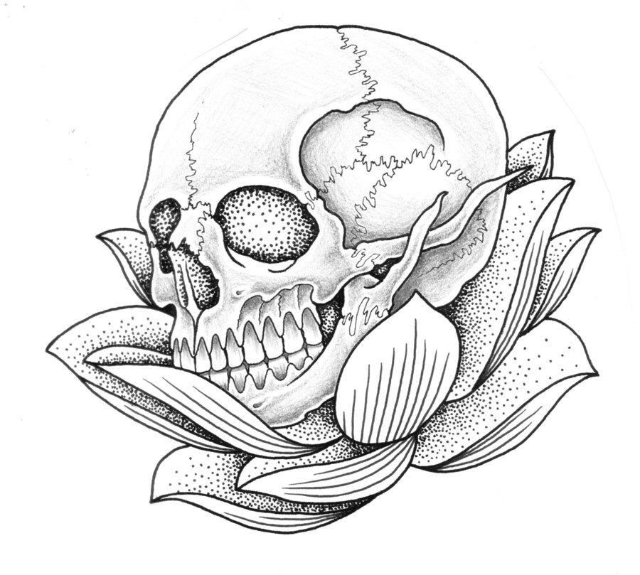 skull-side-view-drawing-at-getdrawings-free-download