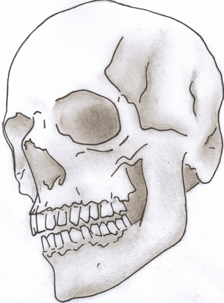 Skull Simple Drawing at GetDrawings Free download