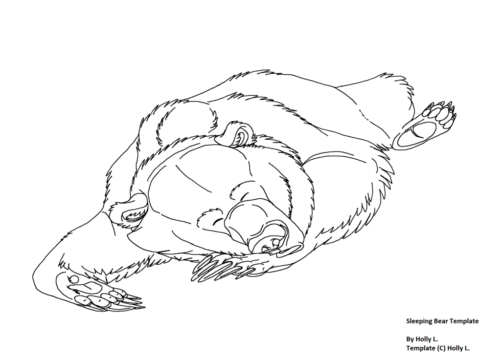 Sleeping Bear Drawing at GetDrawings Free download