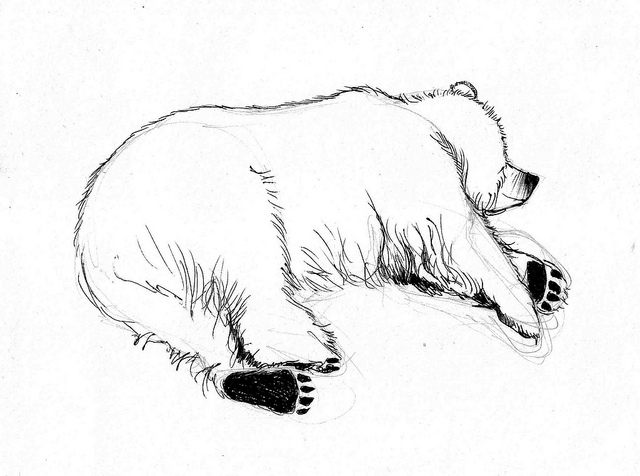 Sleeping Bear Drawing at GetDrawings | Free download