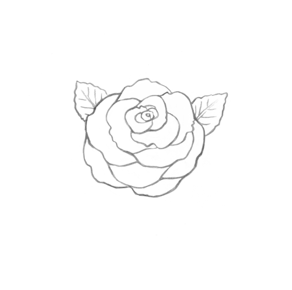 Featured image of post Small Easy Drawings Of Roses - As we move away from the center, the continue to create variations until your rose is complete.