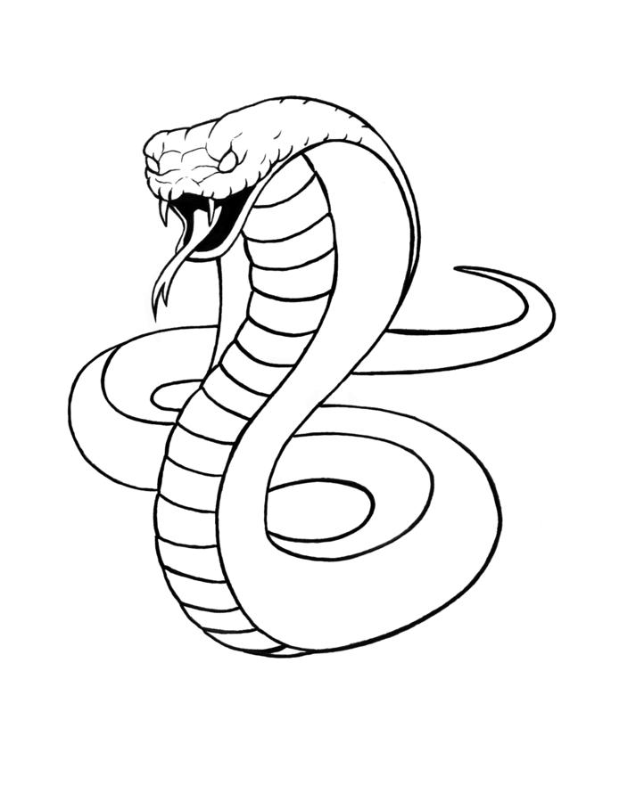 Snake Drawing Step By Step at GetDrawings | Free download