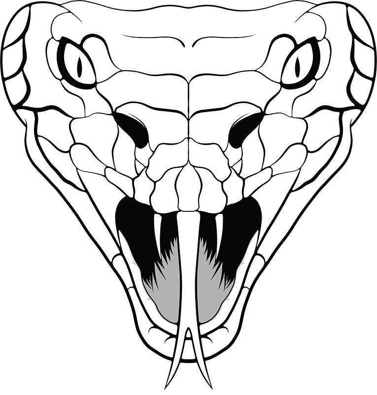 Snake With Mouth Open Drawing Sketch Coloring Page