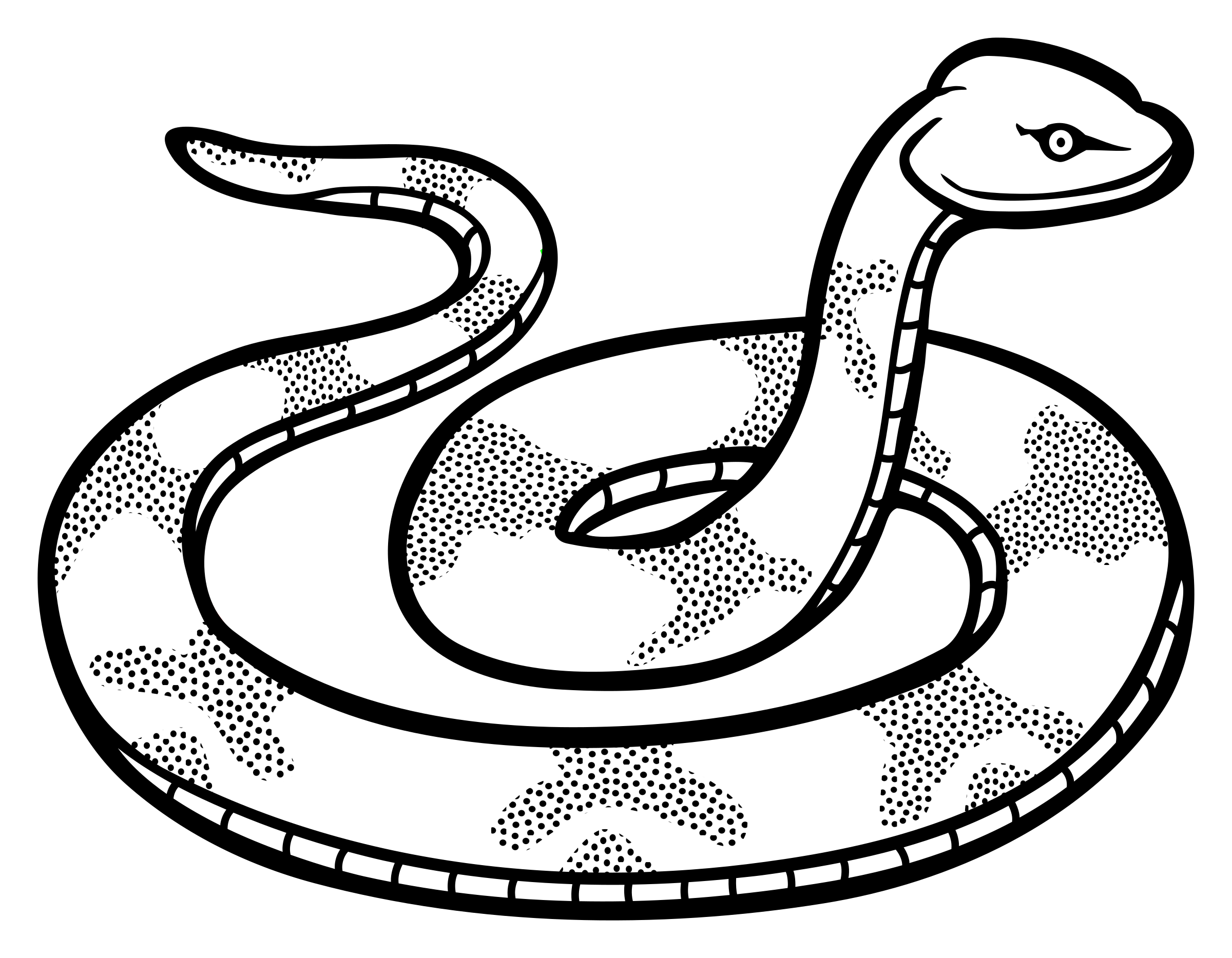 albino snake sketch