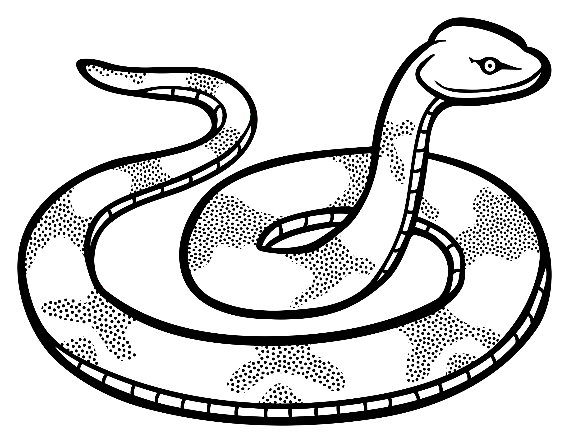 24 Outline Of Snake | Homecolor : Homecolor