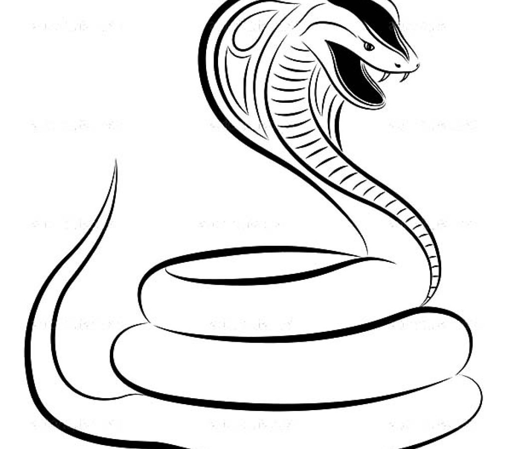 Snake Pencil Drawing at GetDrawings | Free download
