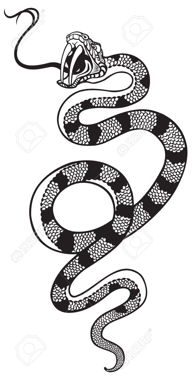 Snake With Mouth Open Drawing at GetDrawings | Free download