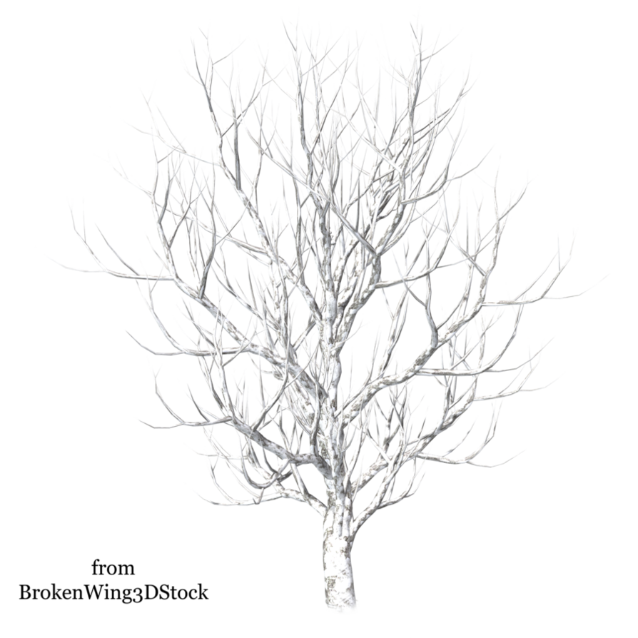 Snowy Tree Drawing At Getdrawings Free Download