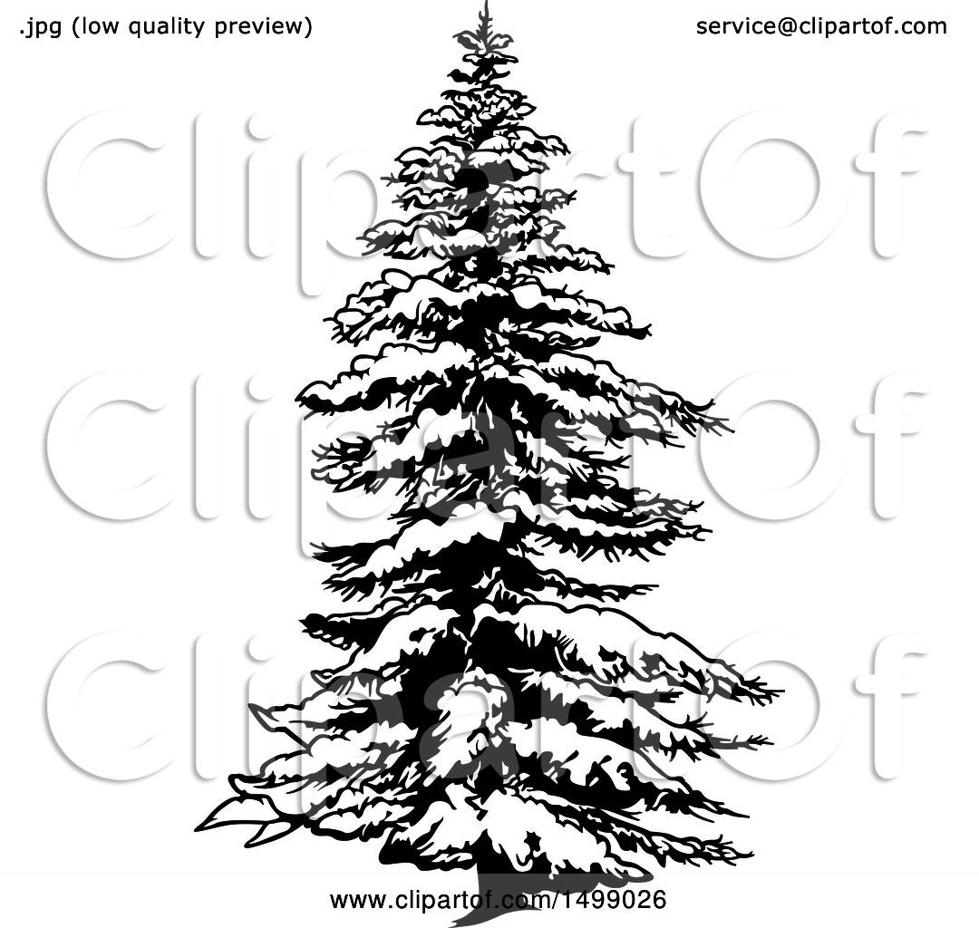 Snowy Tree Drawing At Getdrawings Free Download