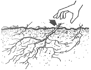 Soil Drawing at GetDrawings | Free download