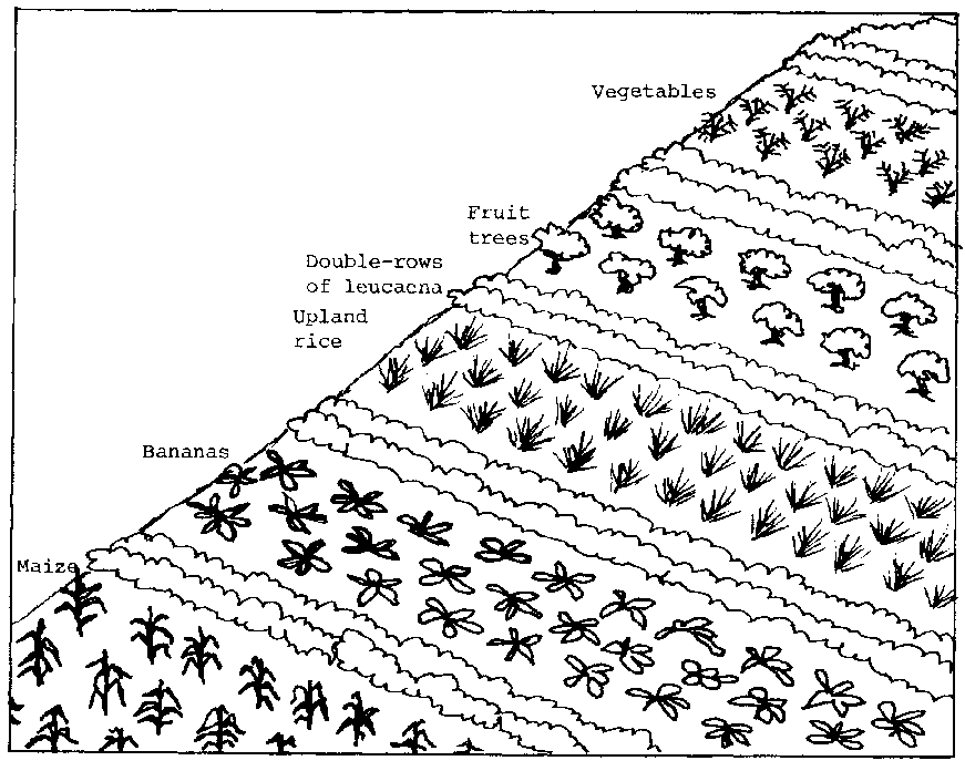 Soil Drawing at GetDrawings | Free download