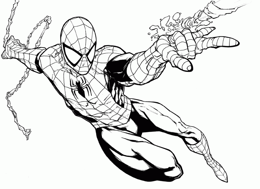 Spider Drawing For Kids At Getdrawings Com Free For