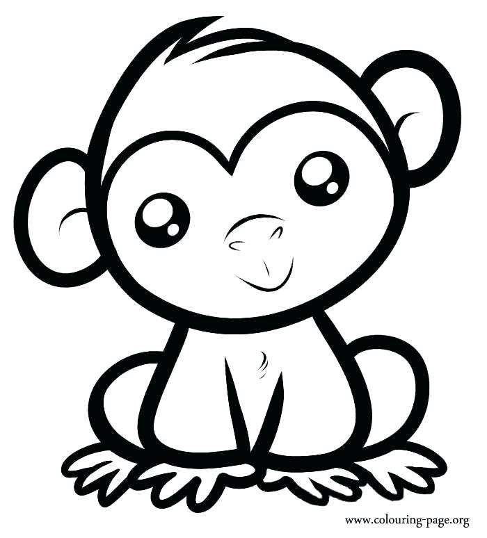 spider-monkey-drawing-at-getdrawings-free-download