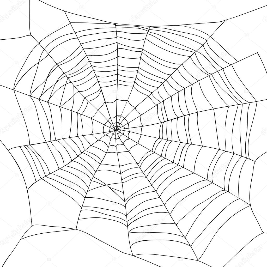 New Drawn Spider Webs PNG - Draw Collect