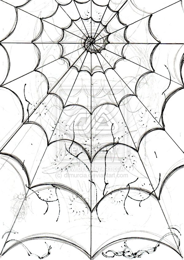 Spider Web Drawing Easy at GetDrawings | Free download