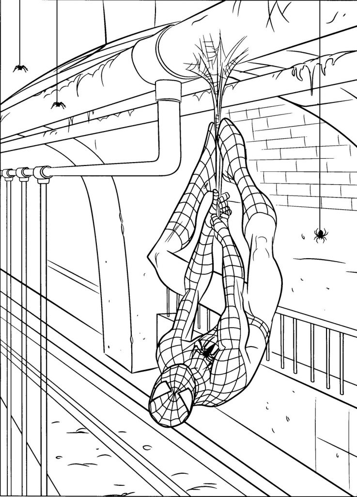 Spiderman Logo Drawing At GetDrawings Free Download