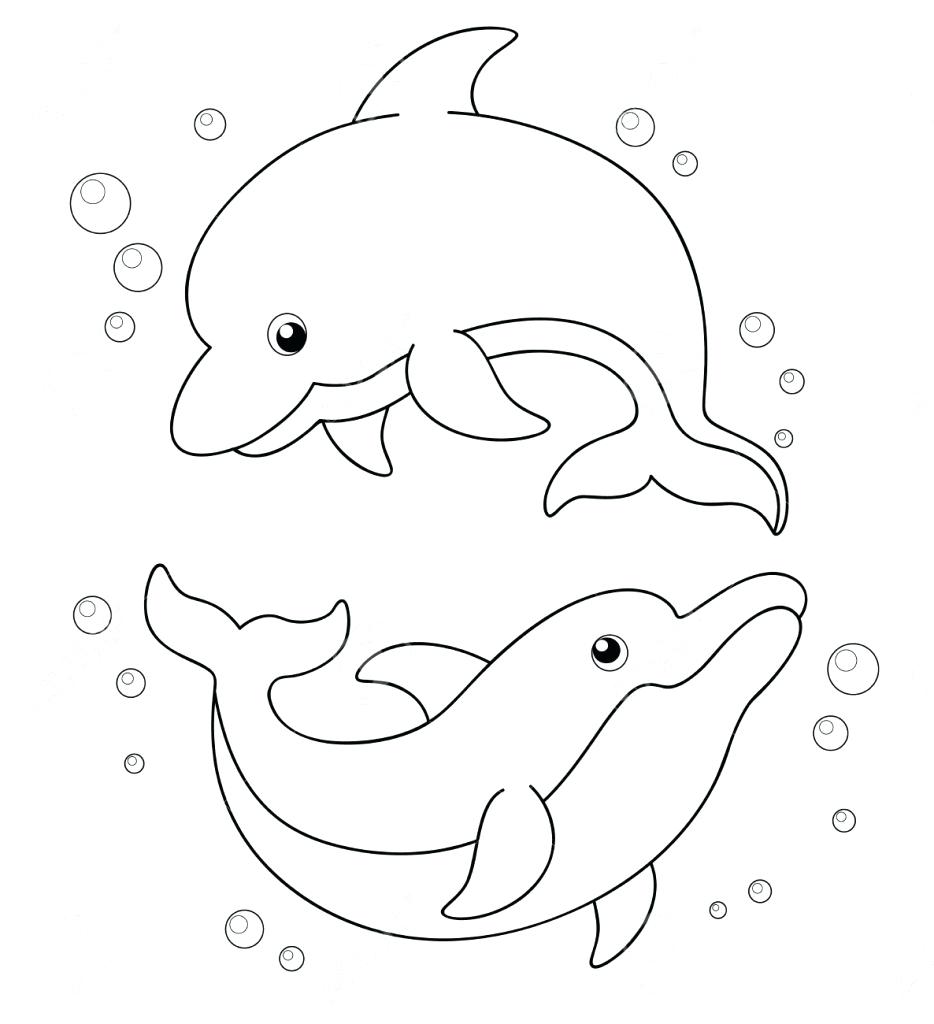 Spinner Dolphin Drawing at GetDrawings | Free download