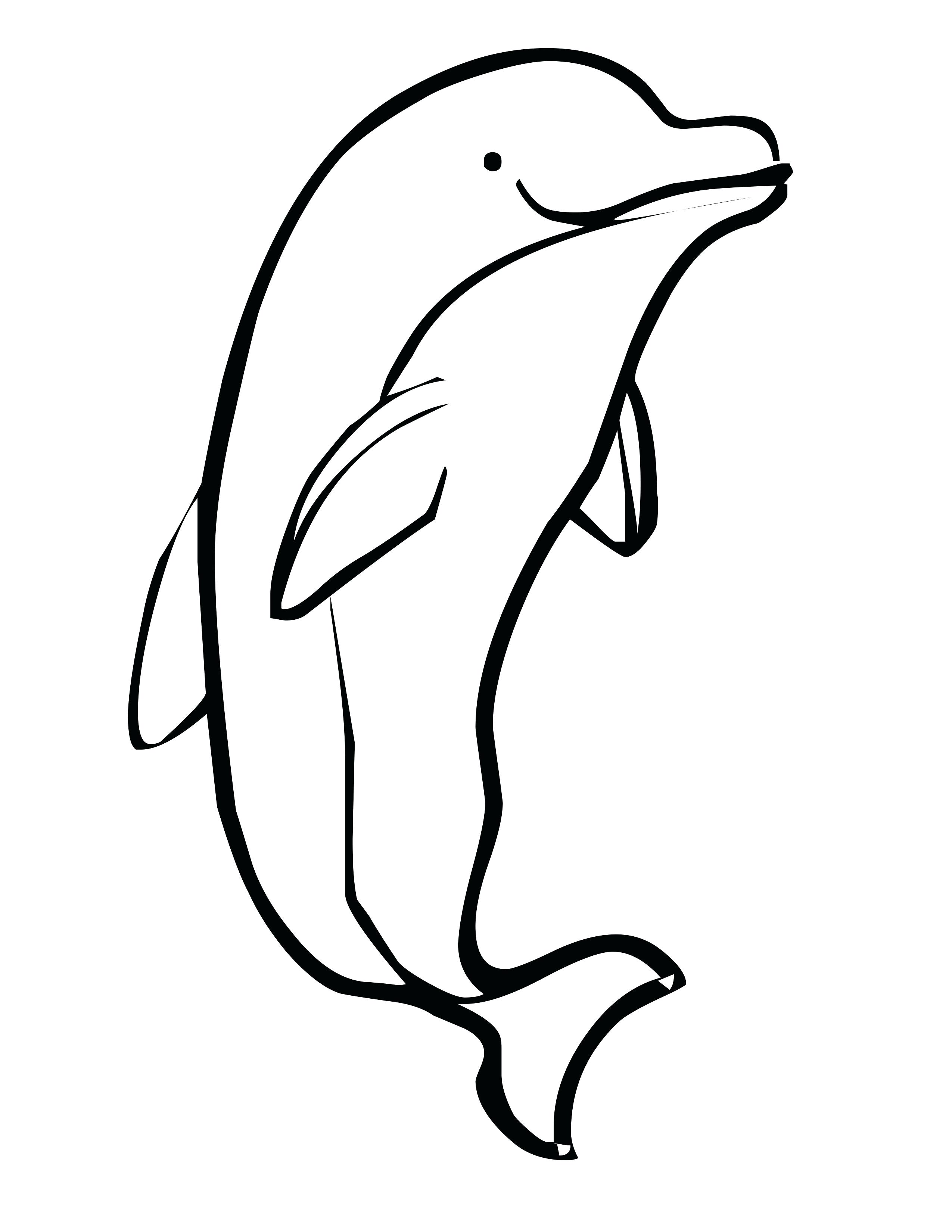 Spinner Dolphin Drawing at GetDrawings | Free download