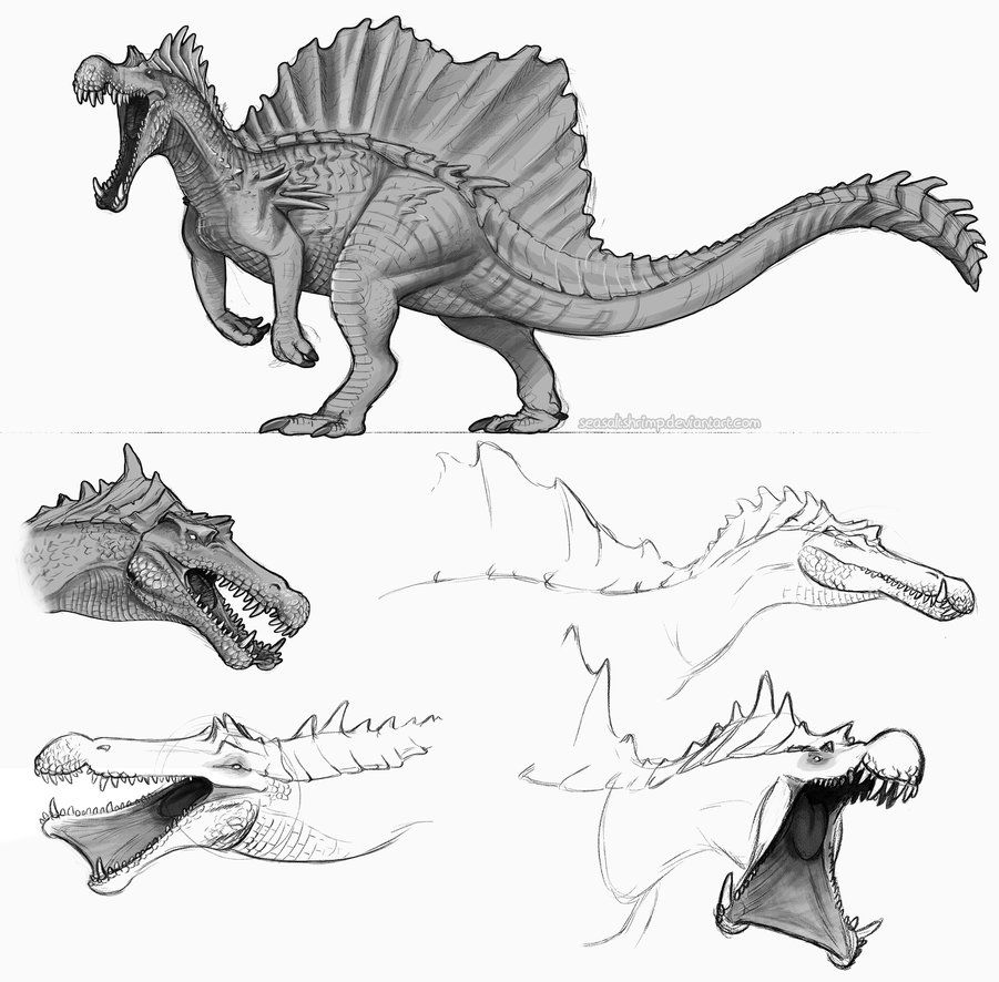 Spinosaurus Drawing at GetDrawings Free download