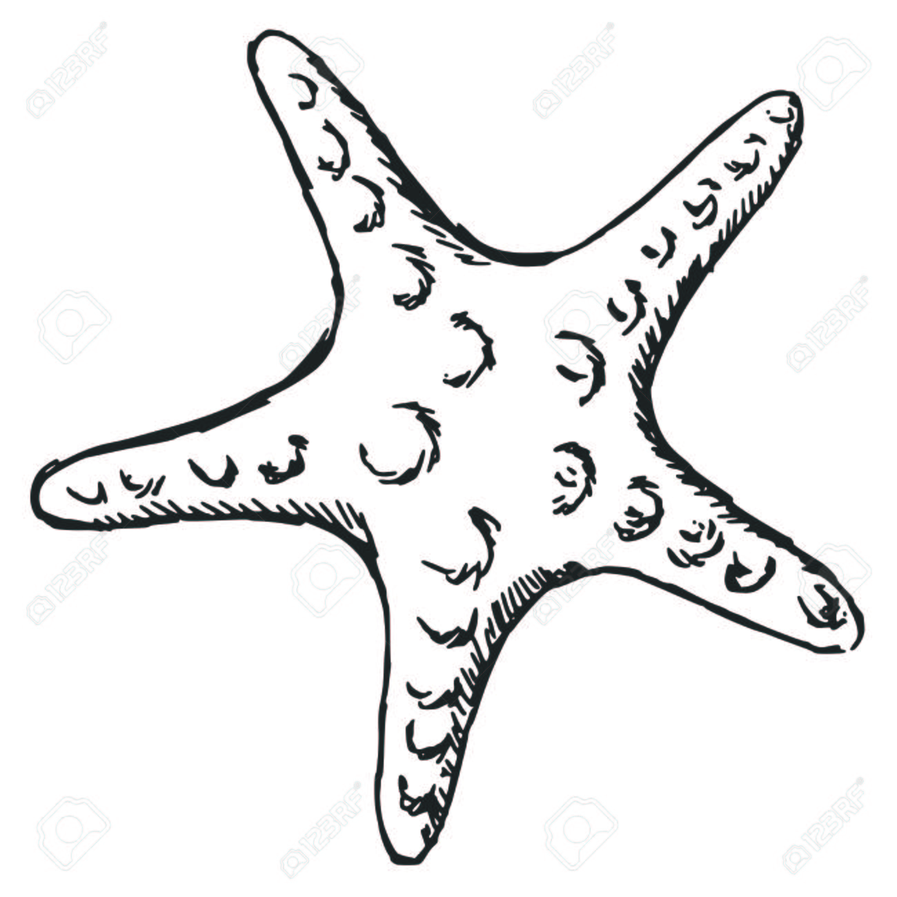 Star Fish Drawing at GetDrawings Free download