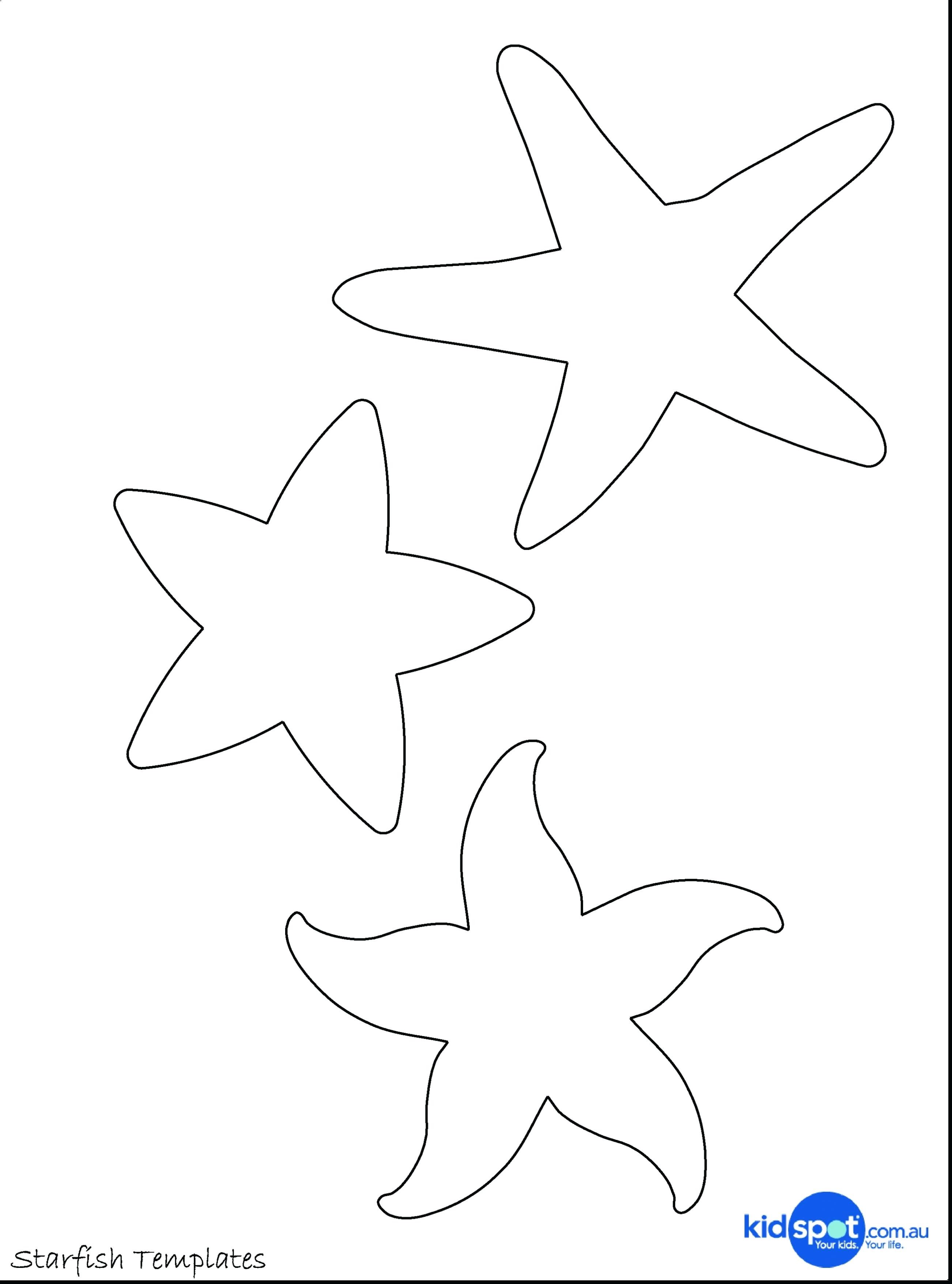 3d Starfish Template Free Printable