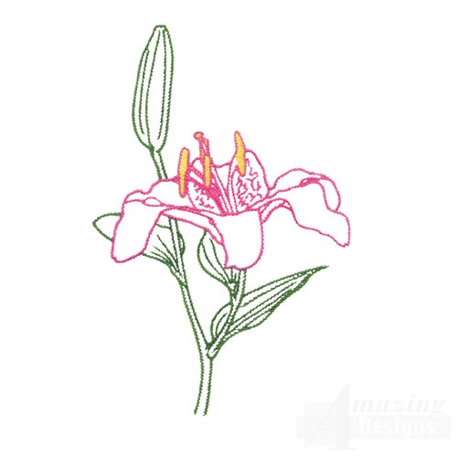 Stargazer Lily Drawing at GetDrawings | Free download