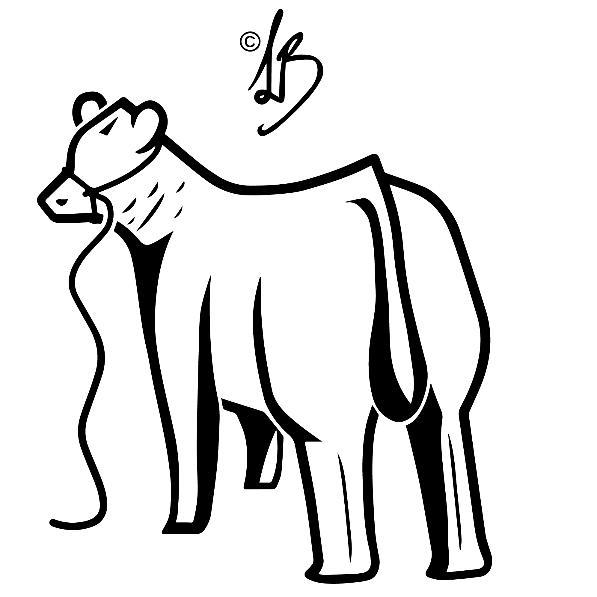 Steer Drawing at GetDrawings Free download