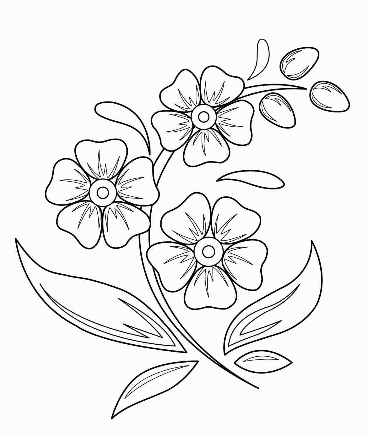 step-by-step-drawing-flower-at-getdrawings-free-download