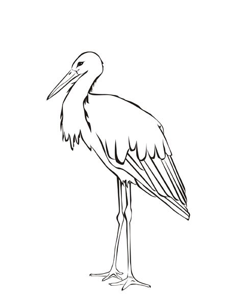 The best free Stork drawing images. Download from 80 free drawings of