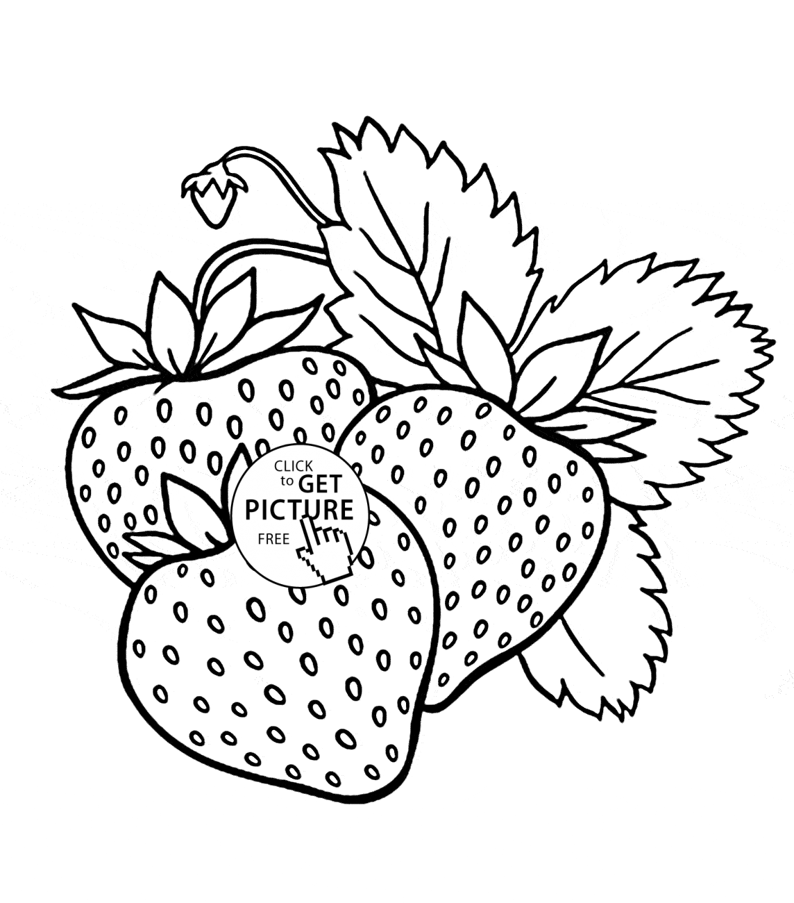 strawberries-drawing-at-getdrawings-free-download