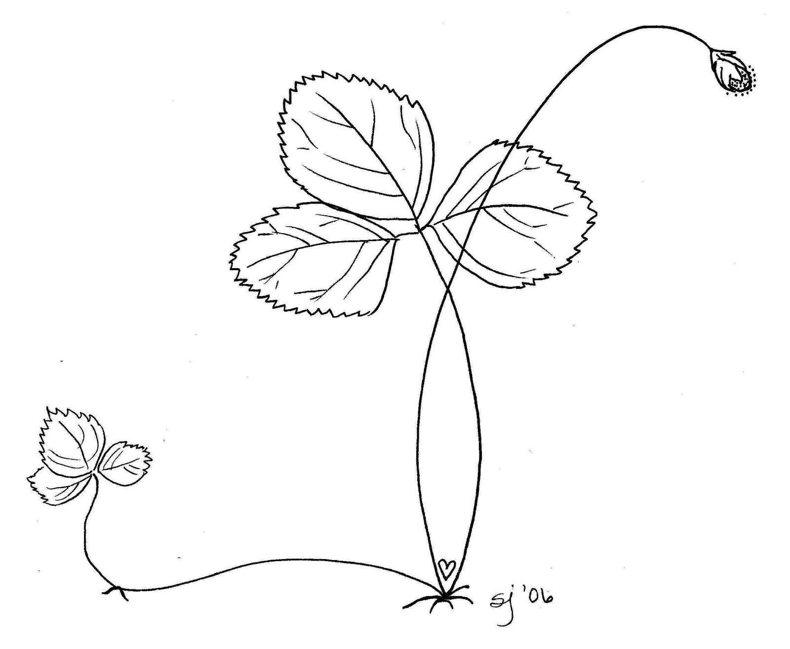 Strawberry Plant Drawing at GetDrawings | Free download